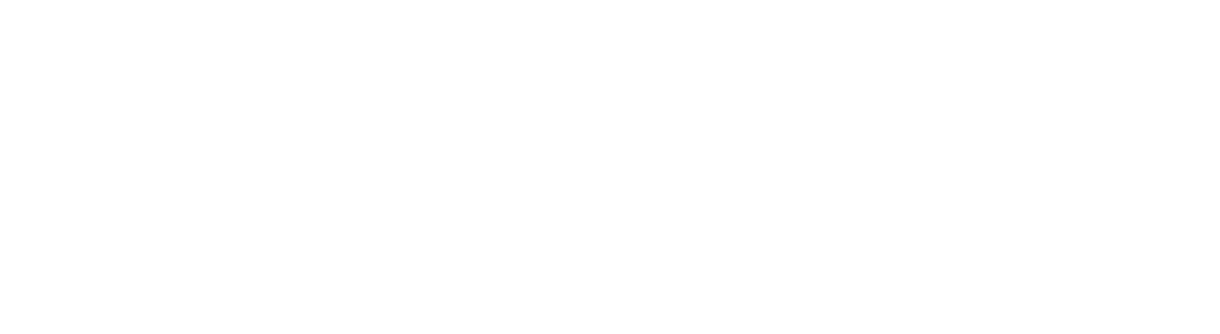 Leo Transporte